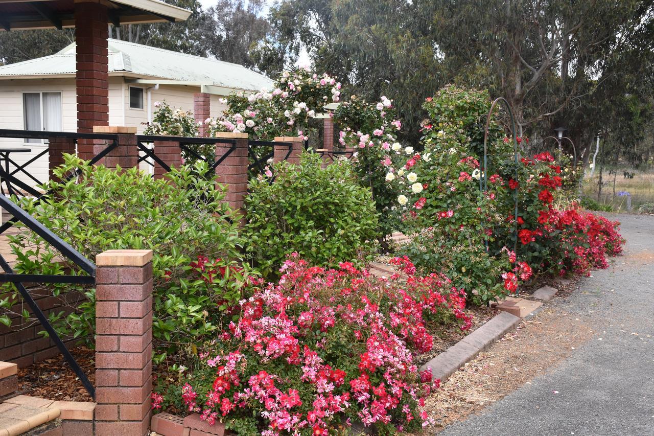Mount Barker Valley Views Motel & Chalets, Western Australia Extérieur photo
