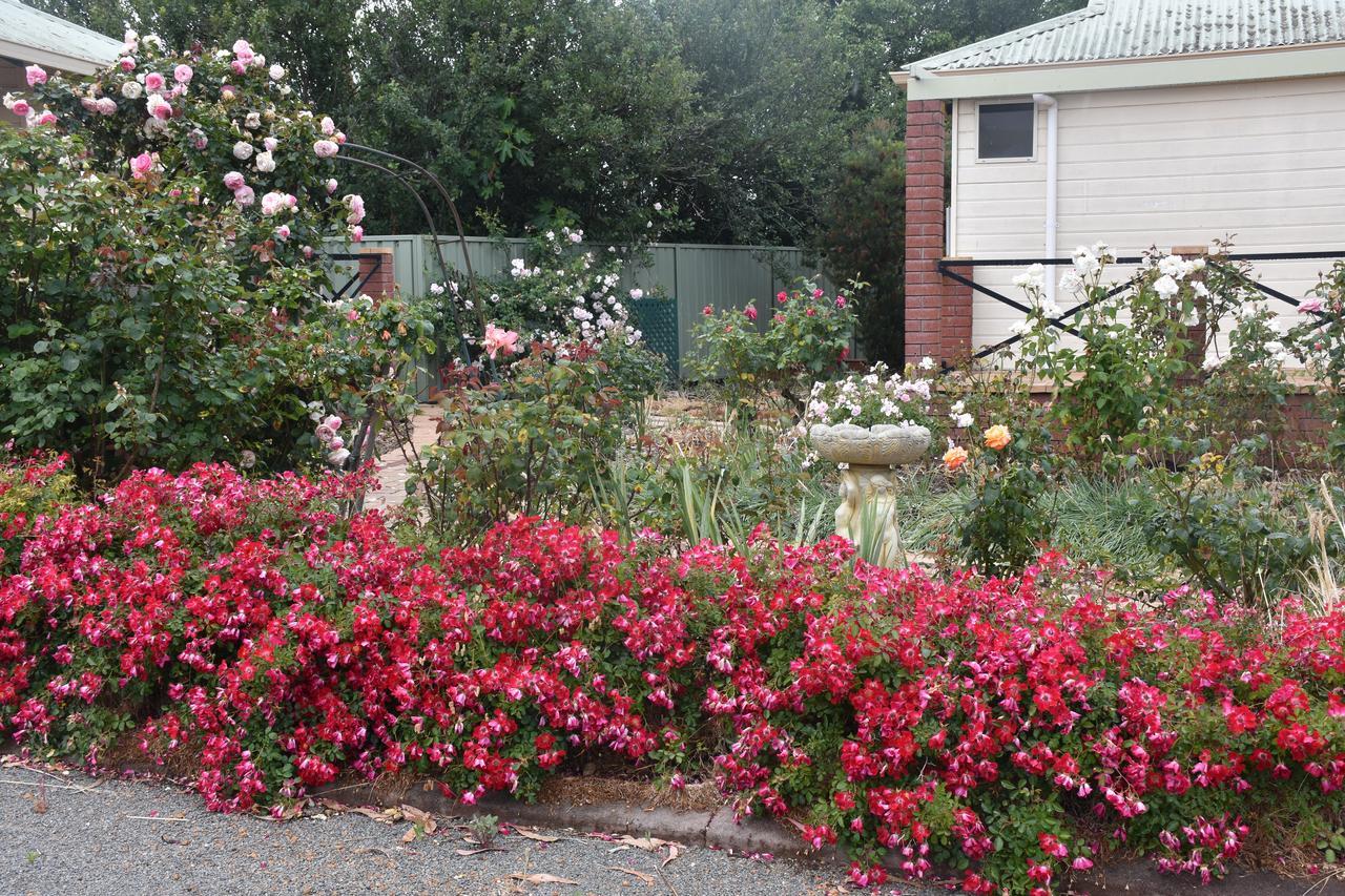 Mount Barker Valley Views Motel & Chalets, Western Australia Extérieur photo